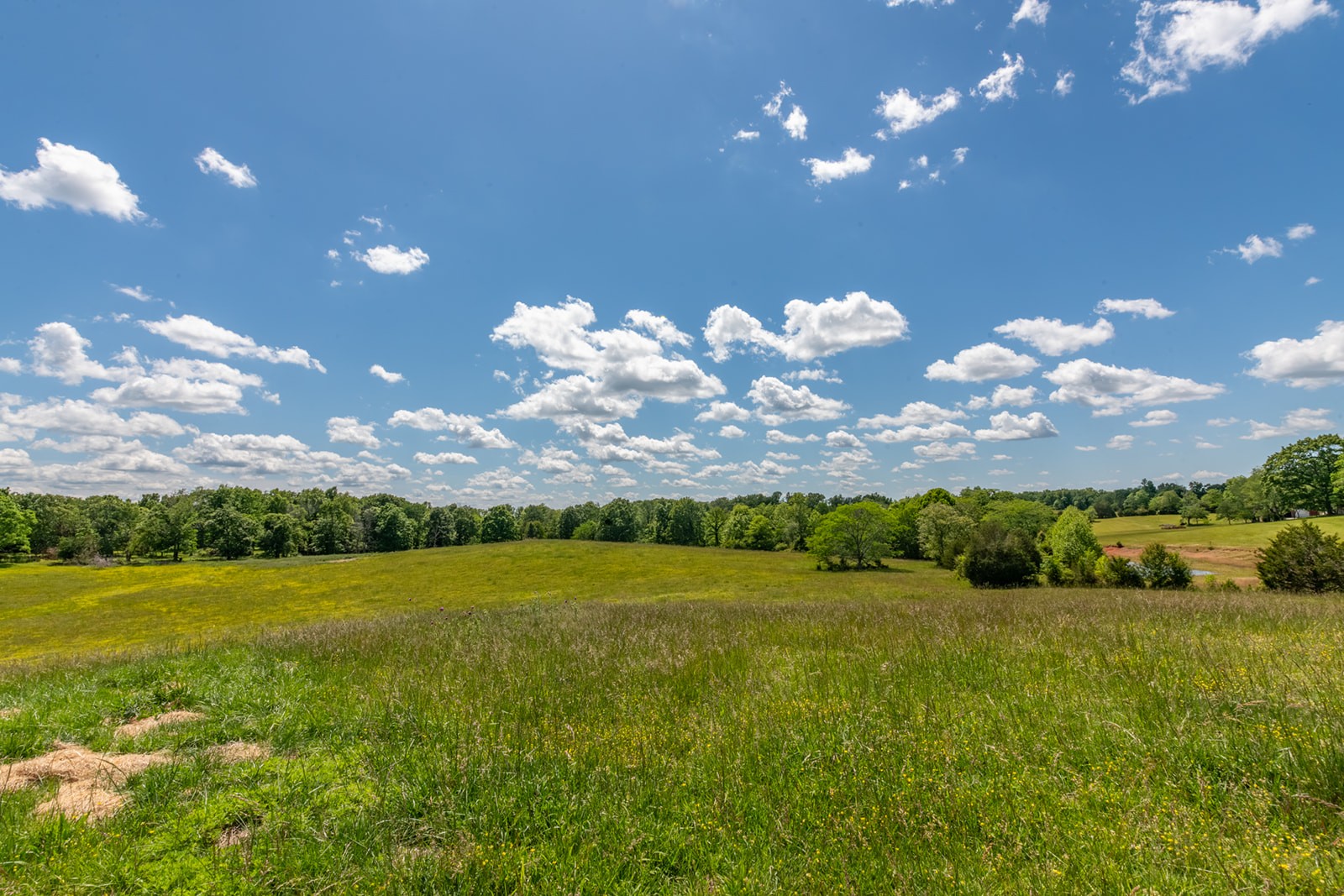 592 Eno Road Dickson TN 37055