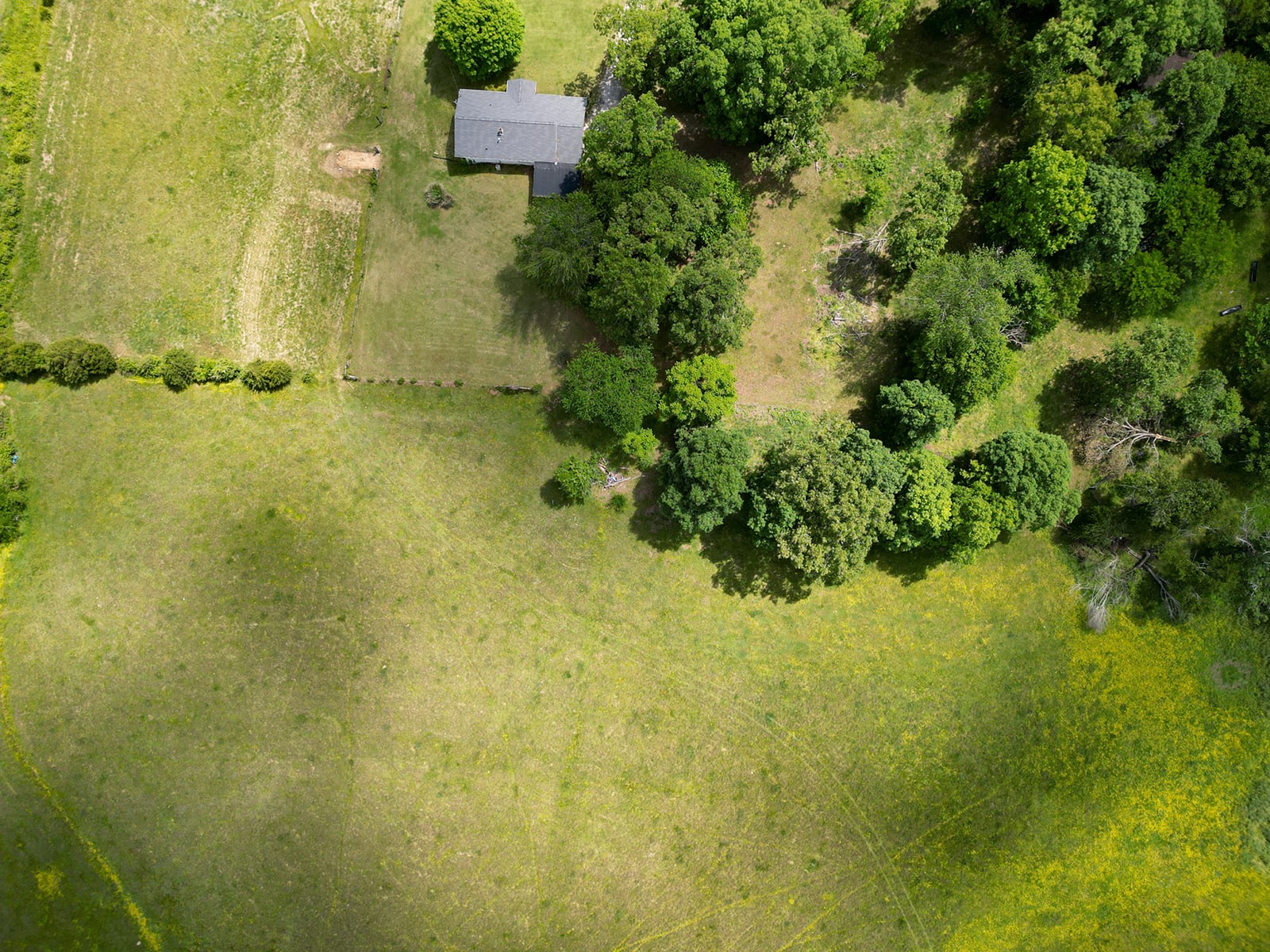 592 Eno Road Dickson TN 37055