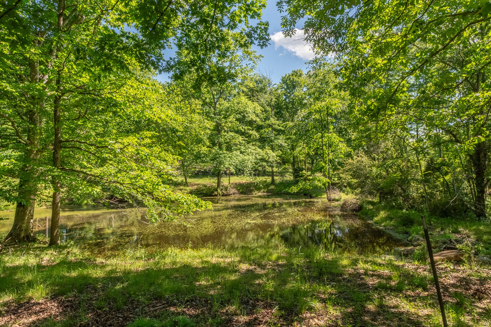 592 Eno Road Dickson TN 37055