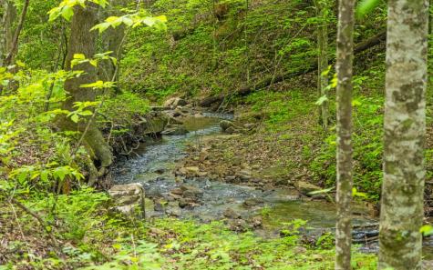 7335 S Pittsburg Mountain Road South Pittsburg TN 37380