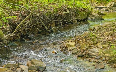 7335 S Pittsburg Mountain Road South Pittsburg TN 37380