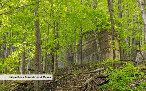 7335 S Pittsburg Mountain Road South Pittsburg TN 37380