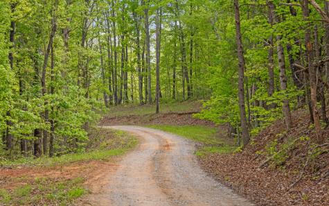 7335 S Pittsburg Mountain Road South Pittsburg TN 37380