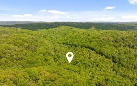 7335 S Pittsburg Mountain Road South Pittsburg TN 37380