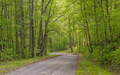 7335 S Pittsburg Mountain Road South Pittsburg TN 37380