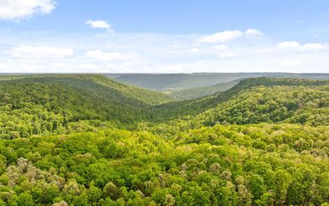 7335 S Pittsburg Mountain Road South Pittsburg TN 37380