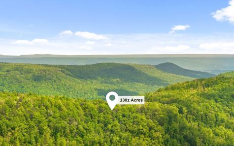 7335 S Pittsburg Mountain Road South Pittsburg TN 37380