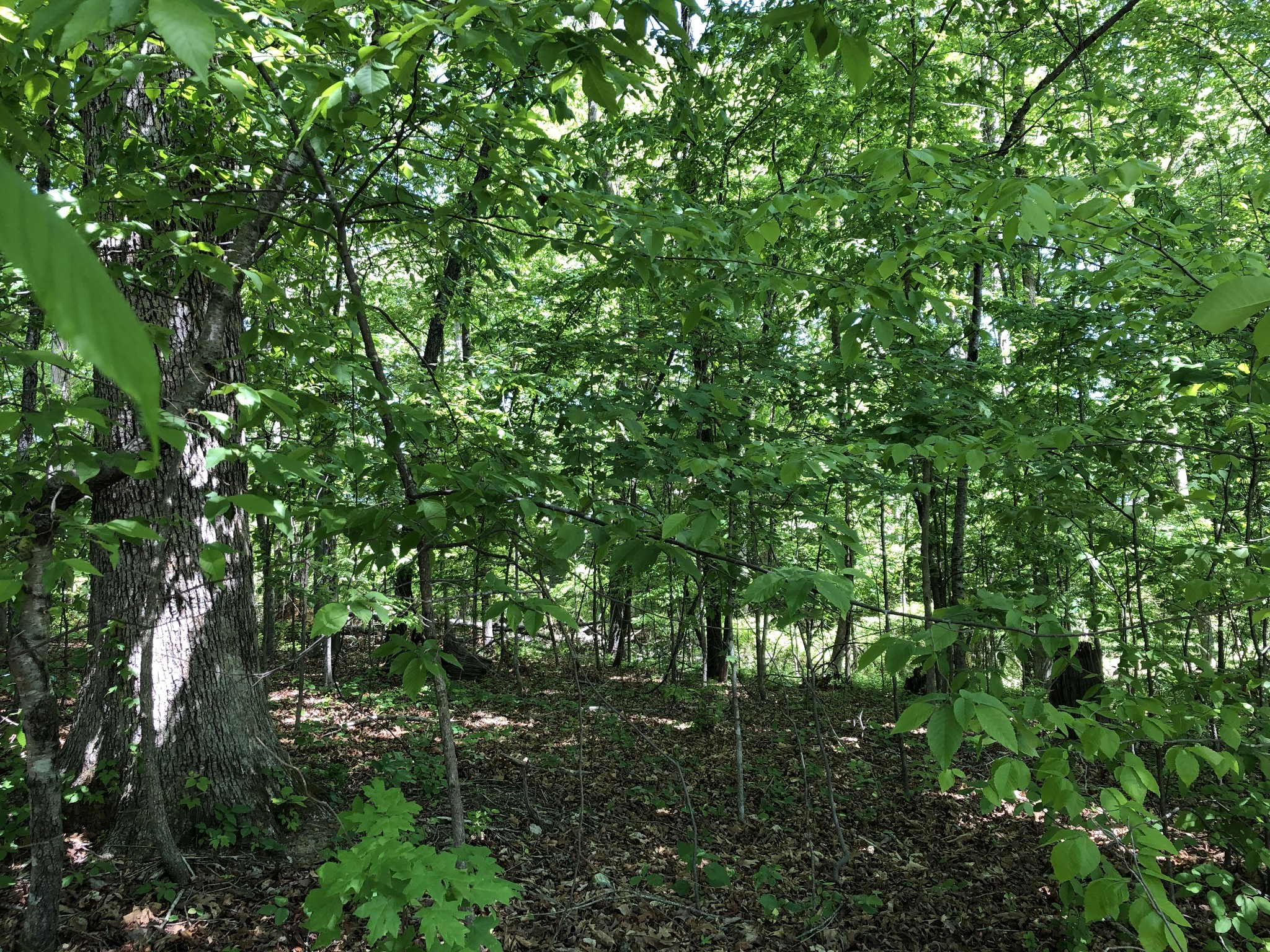 0 Devin Drive Lawrenceburg TN 38464