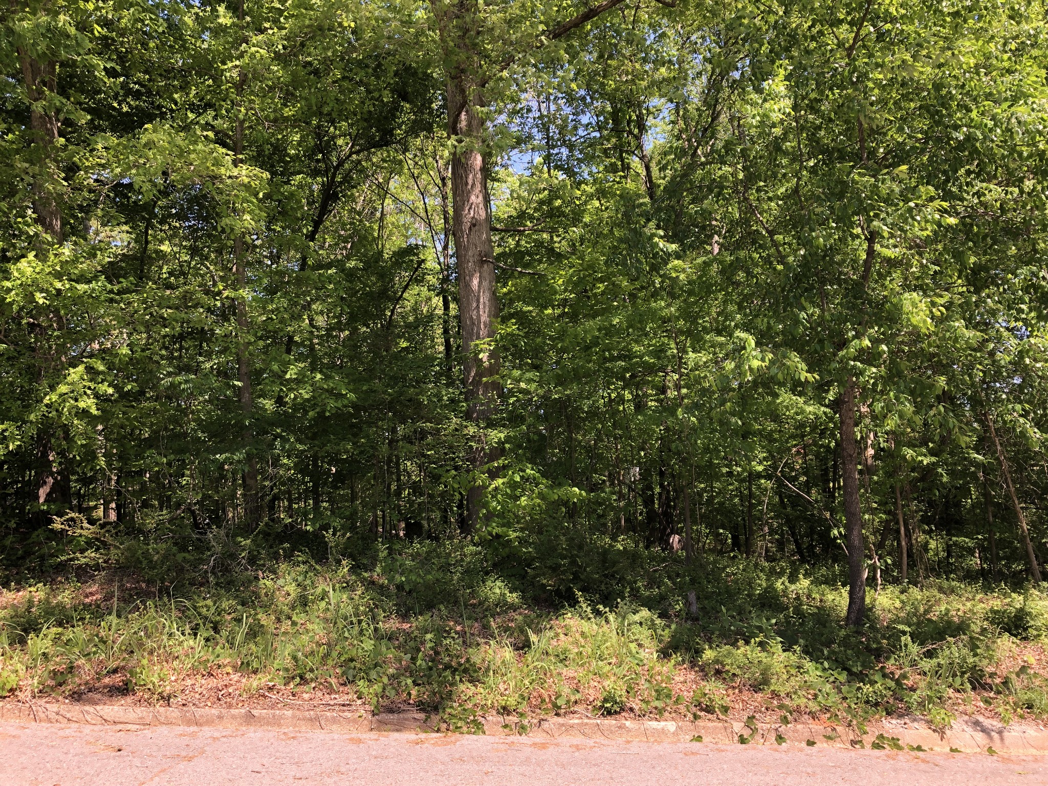 0 Devin Drive Lawrenceburg TN 38464