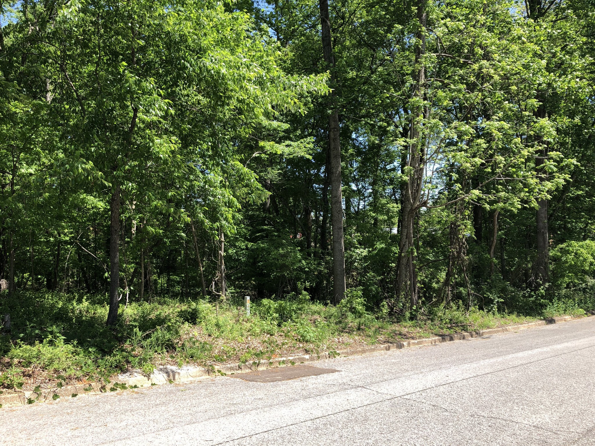 0 Devin Drive Lawrenceburg TN 38464