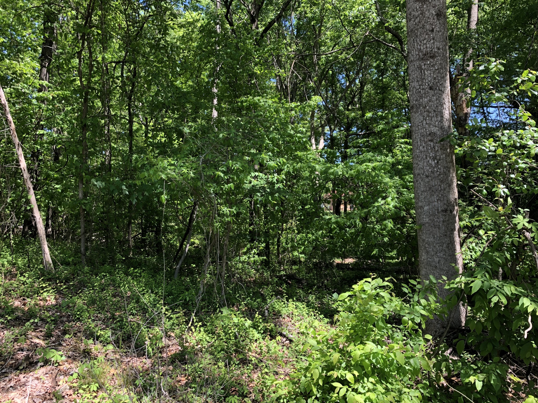 0 Devin Drive Lawrenceburg TN 38464