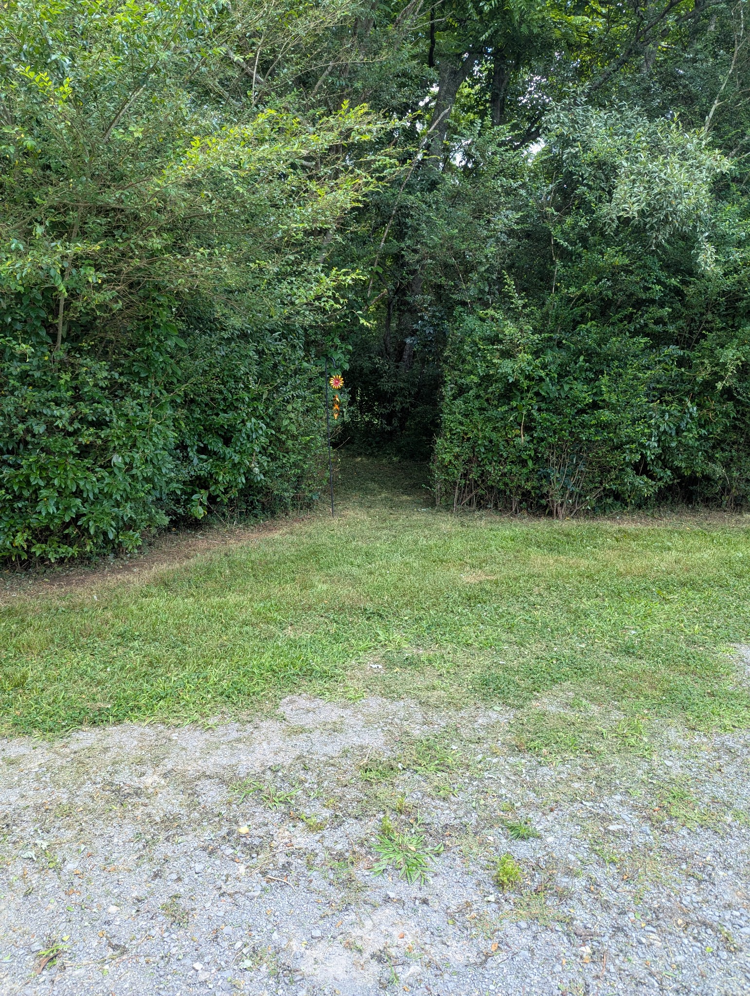 210 Edwin Smith Lane Gainesboro TN 38562