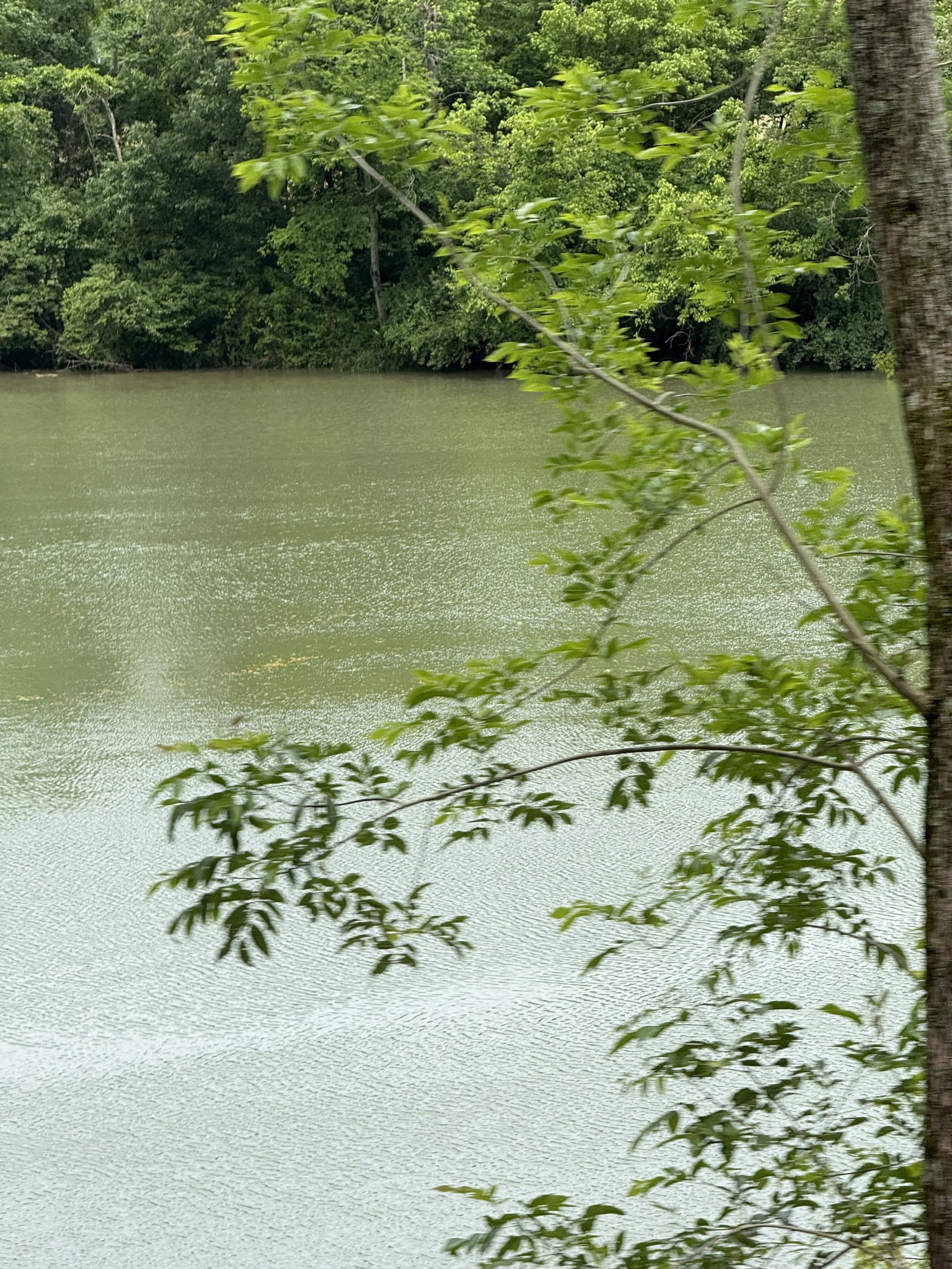 210 Edwin Smith Lane Gainesboro TN 38562