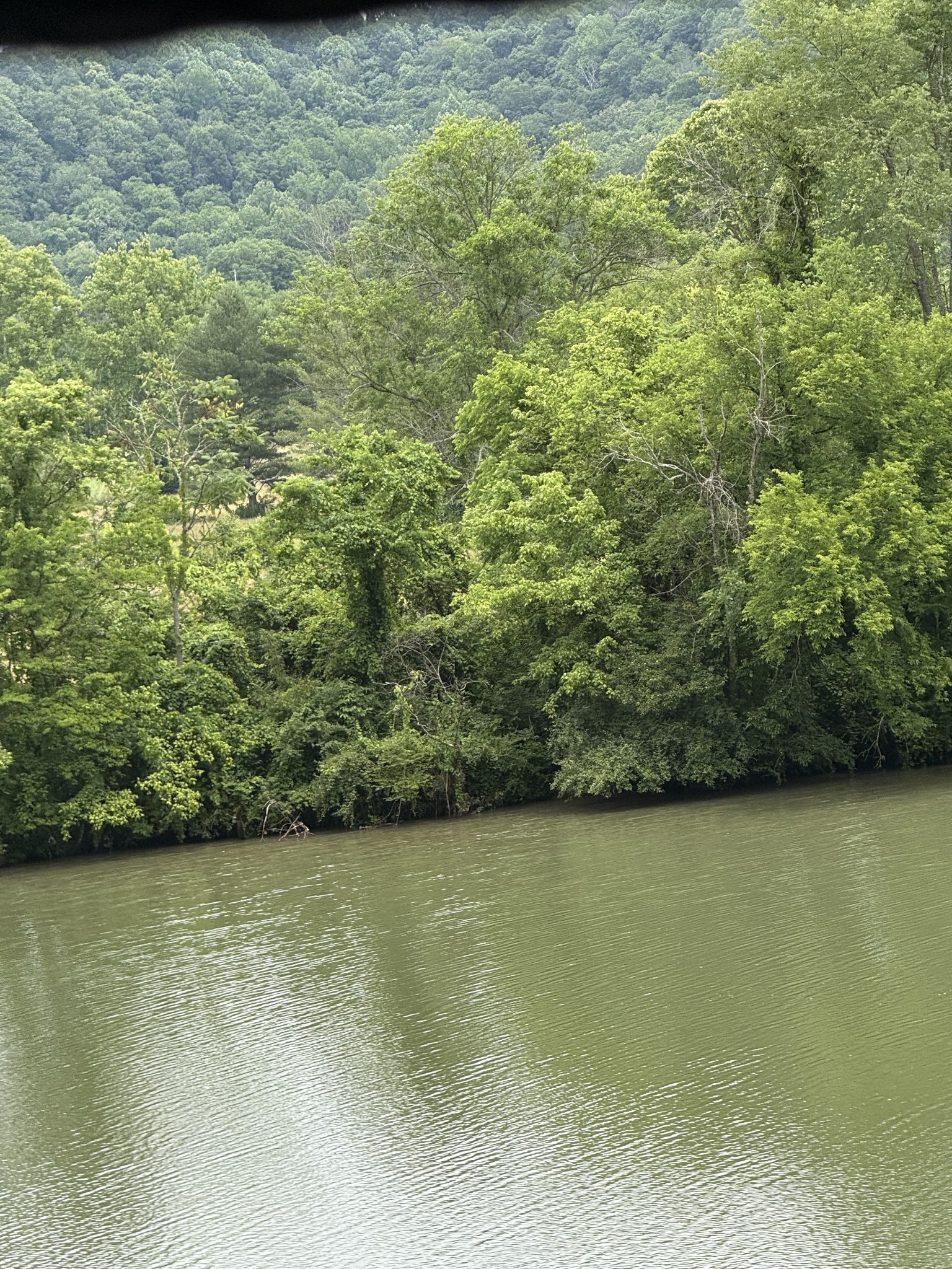 210 Edwin Smith Lane Gainesboro TN 38562