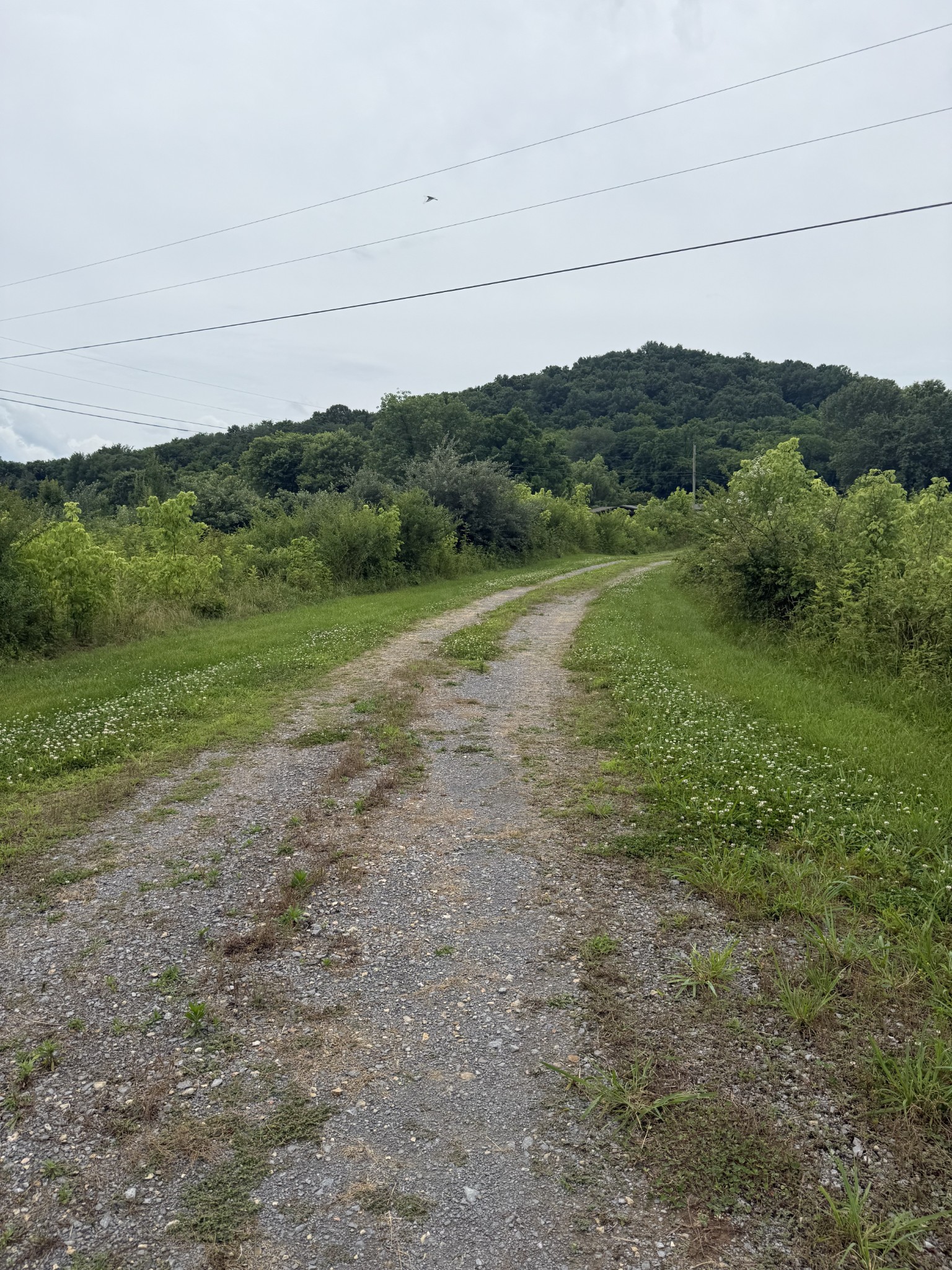 210 Edwin Smith Lane Gainesboro TN 38562