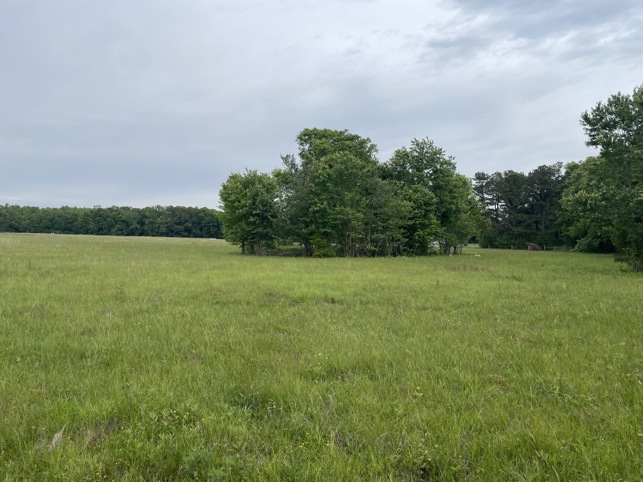0 Fredonia Road Manchester TN 37355