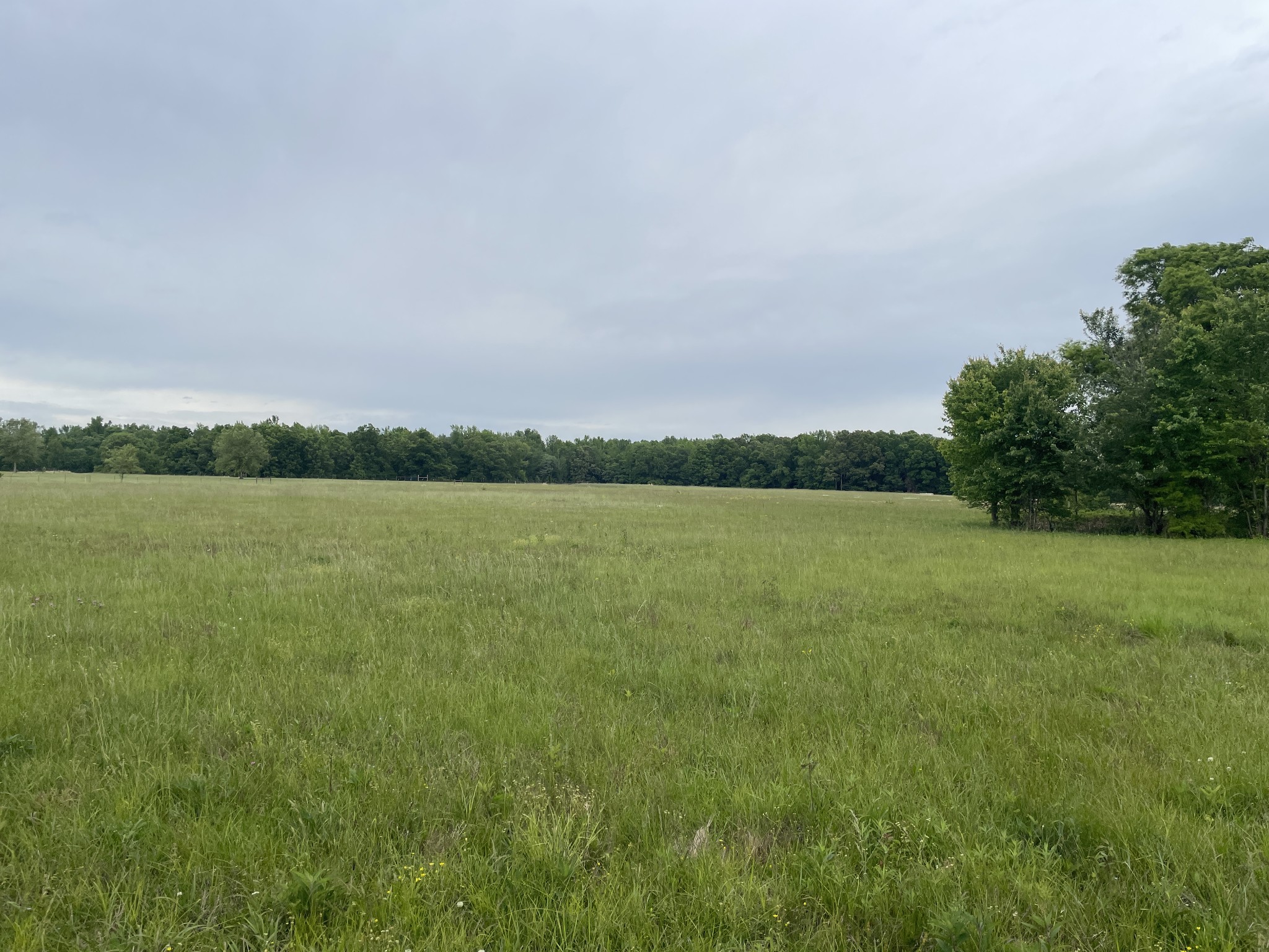 0 Fredonia Road Manchester TN 37355