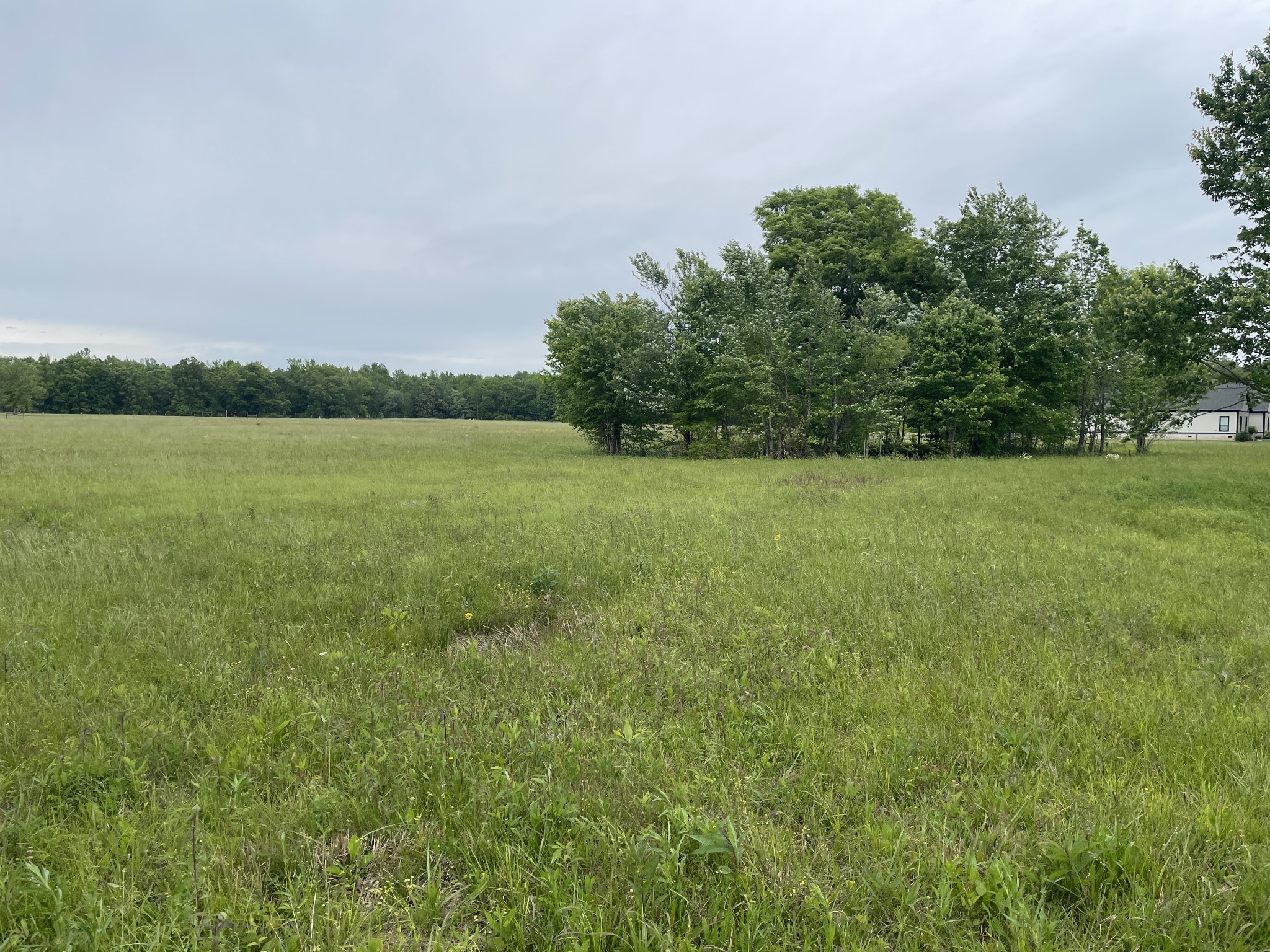 0 Fredonia Road Manchester TN 37355