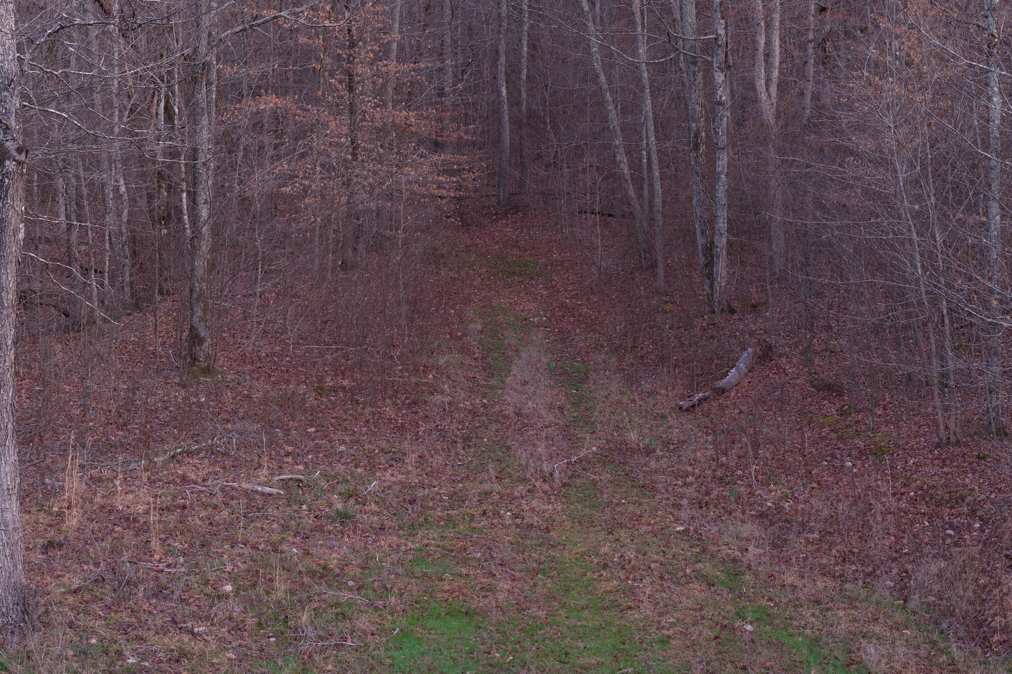 0 Nix Lane Waverly TN 37185