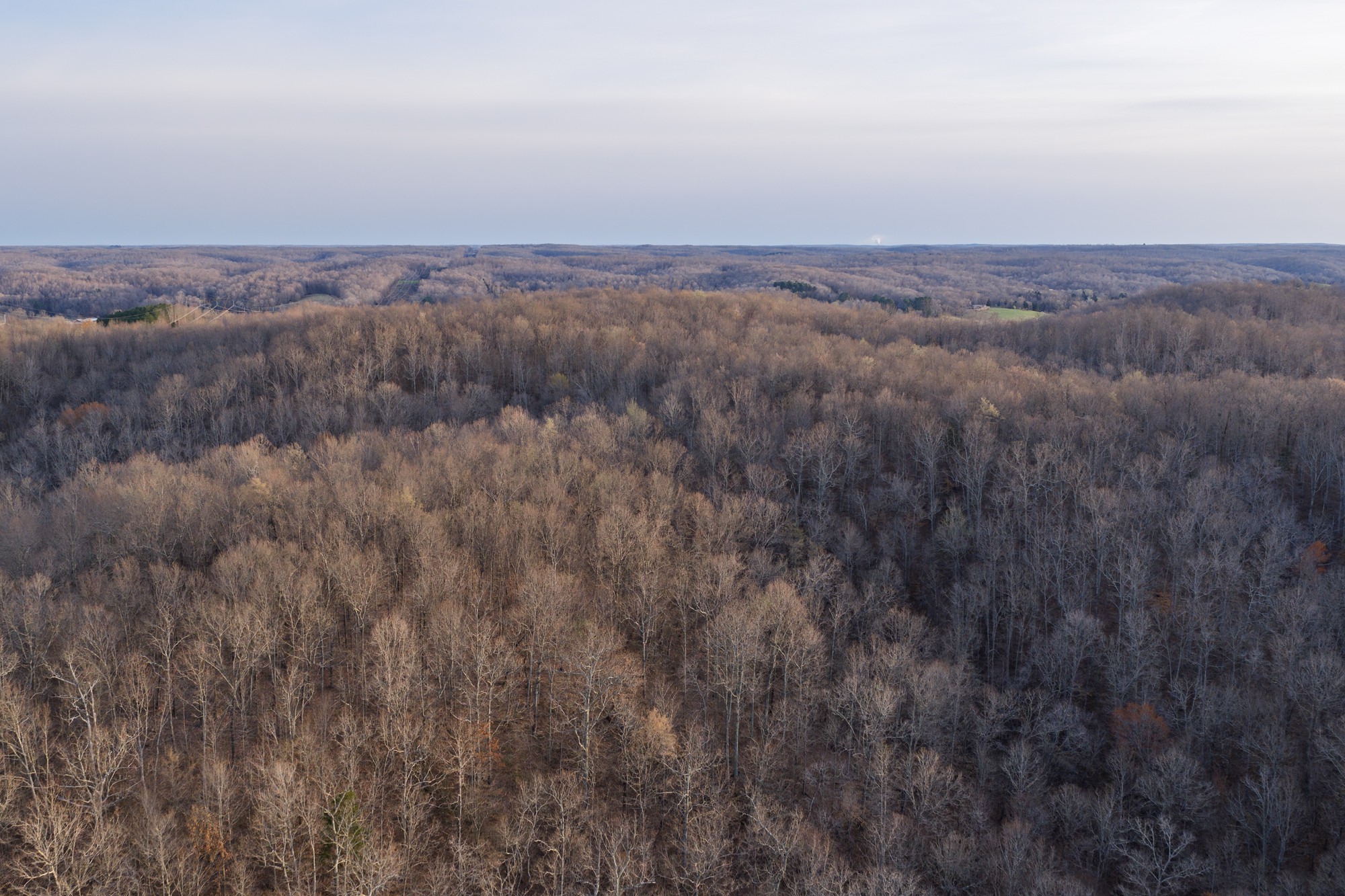 0 Nix Lane Waverly TN 37185
