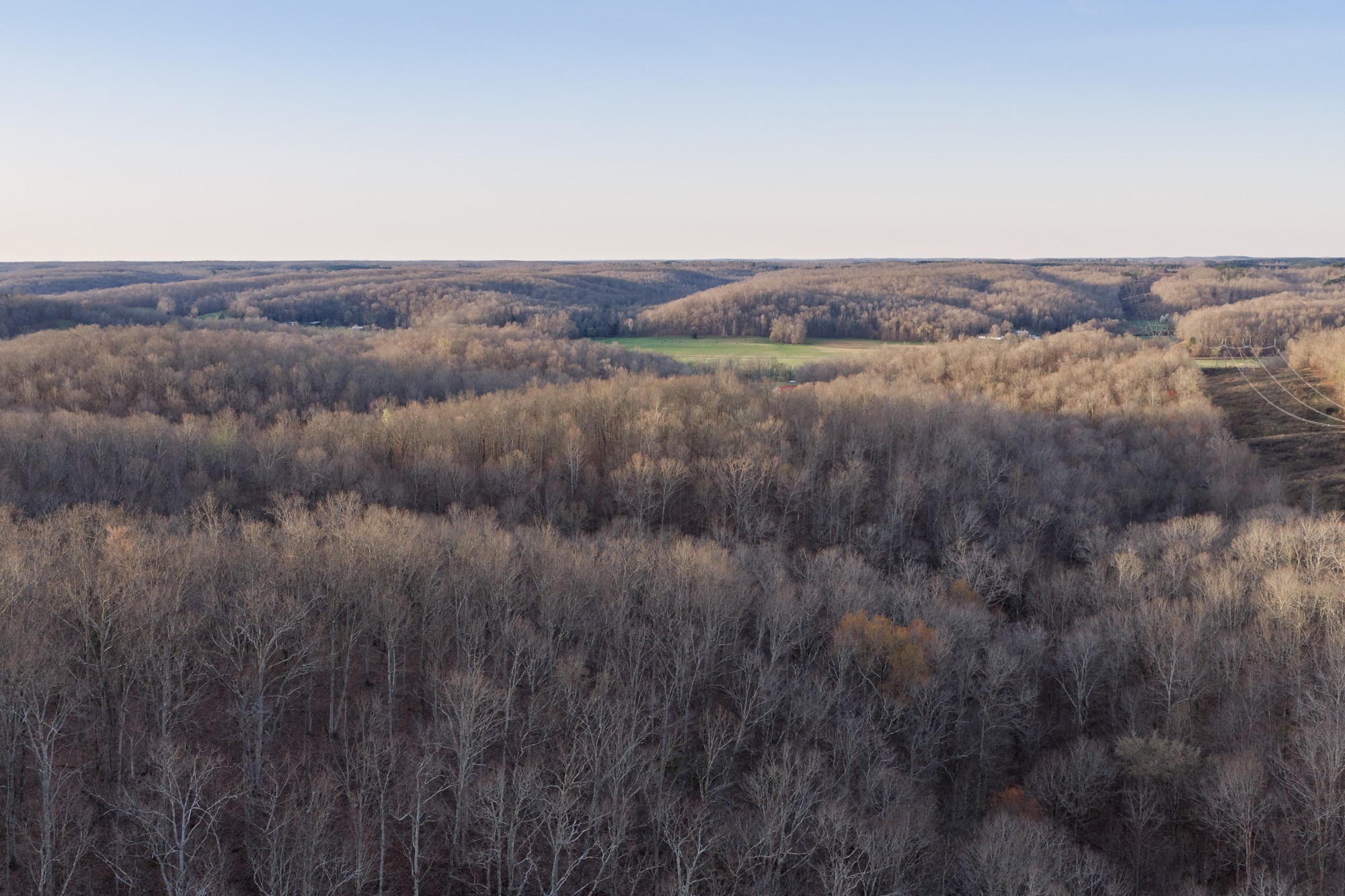 0 Nix Lane Waverly TN 37185