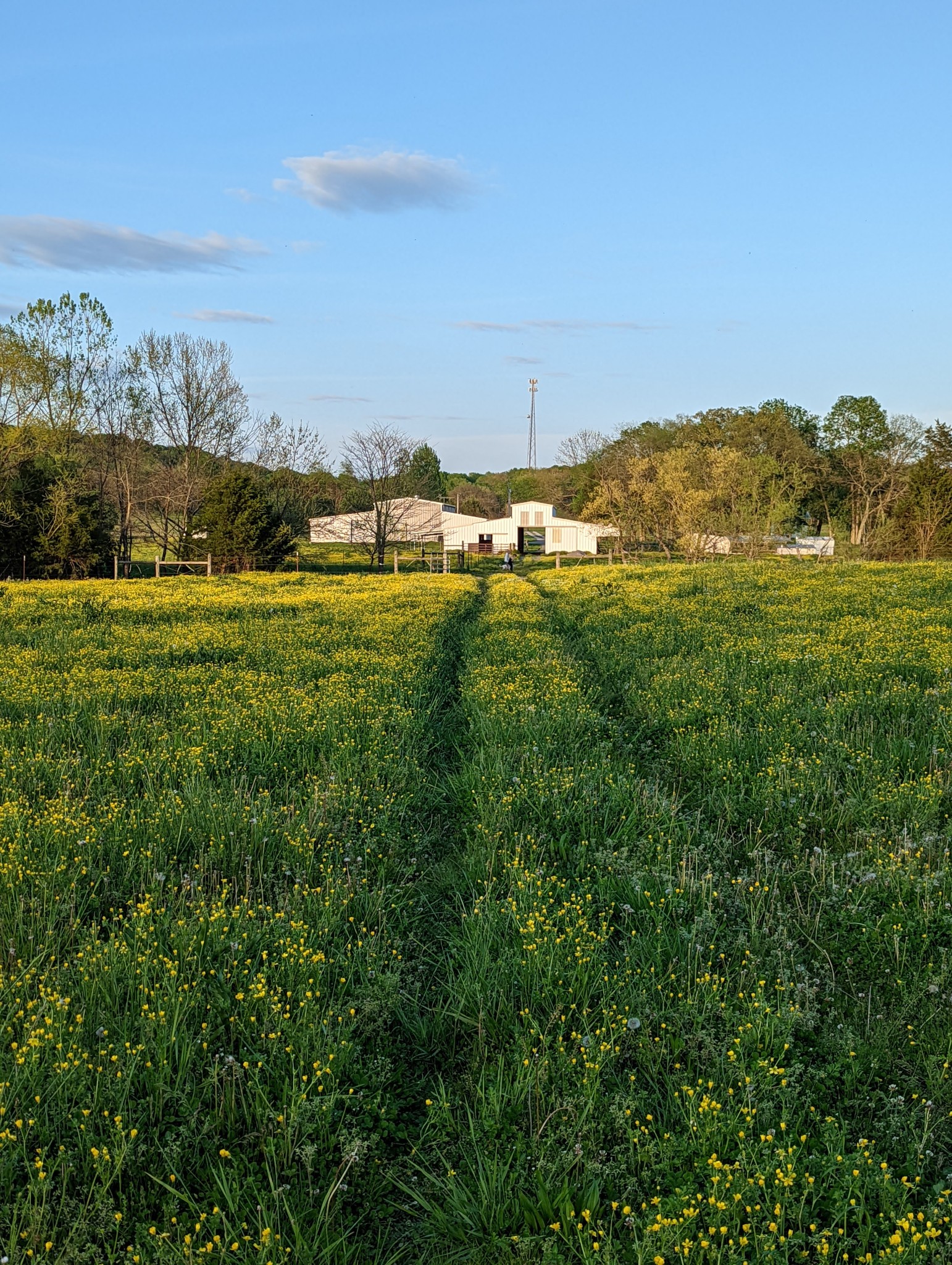14620 Cainsville Road Lebanon TN 37090