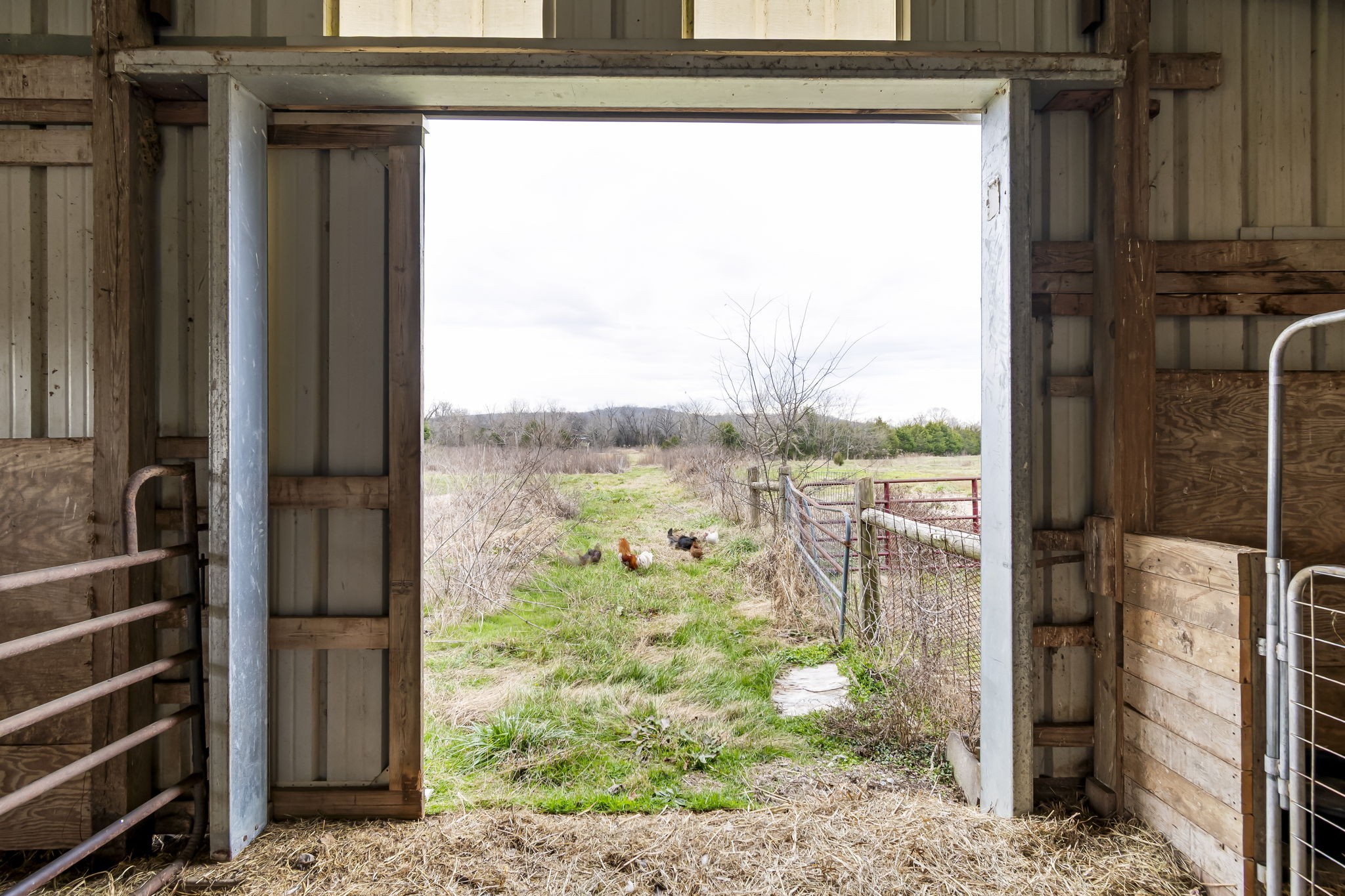 14620 Cainsville Road Lebanon TN 37090