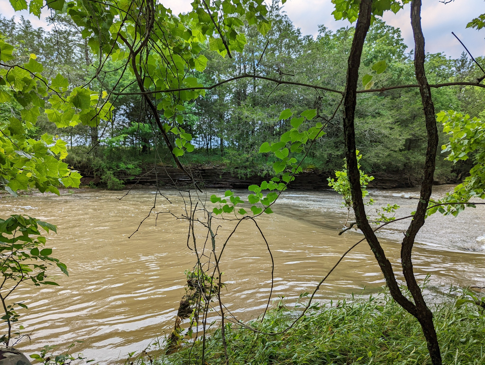 14620 Cainsville Road Lebanon TN 37090
