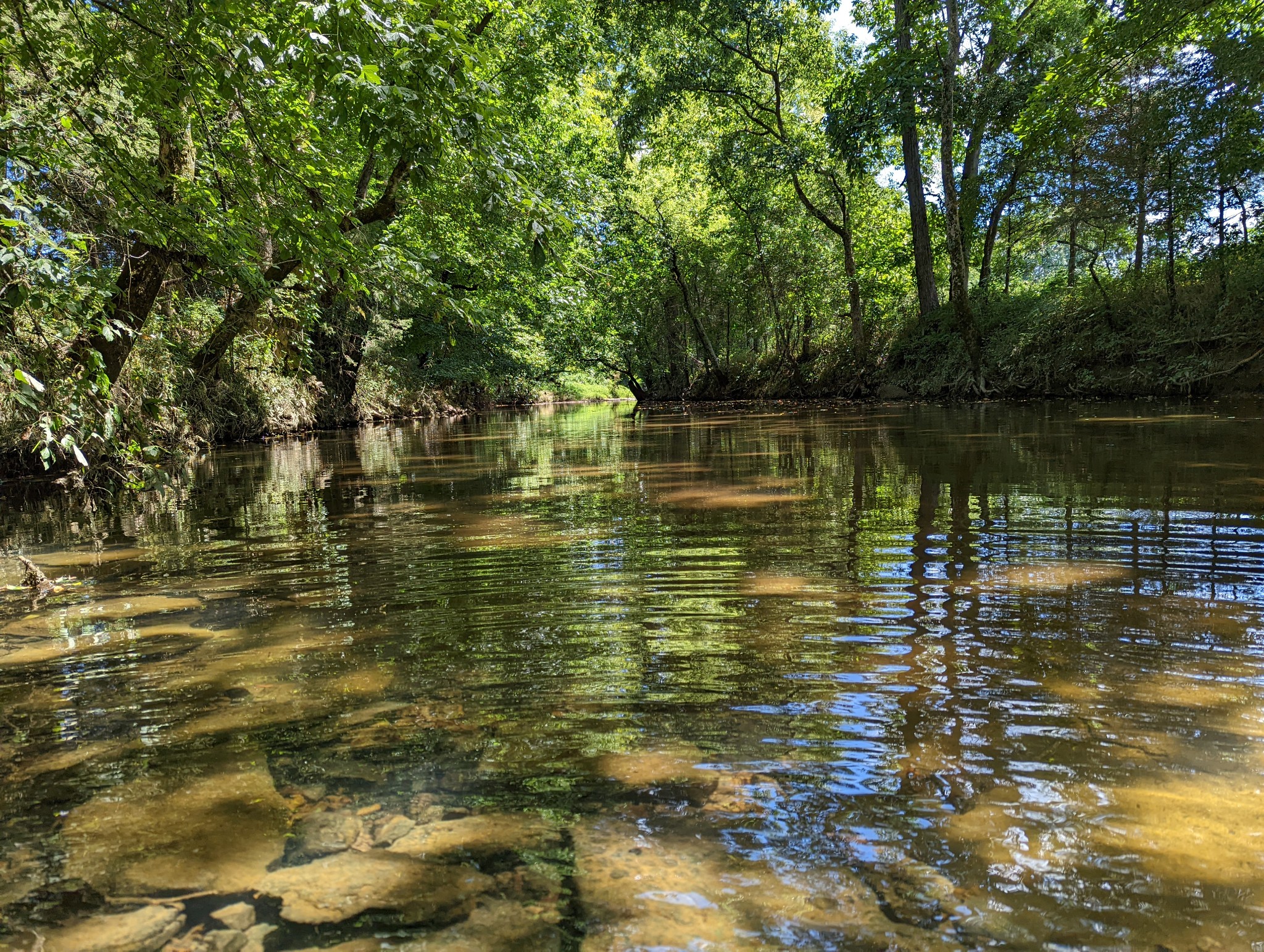 14620 Cainsville Road Lebanon TN 37090