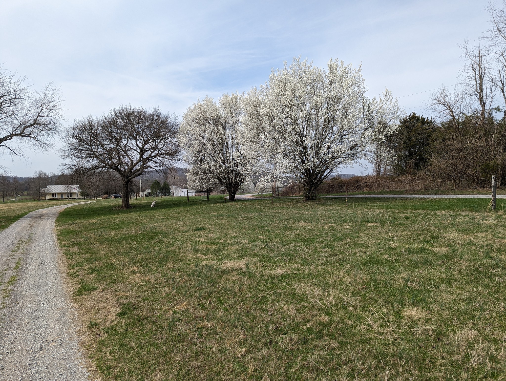 14620 Cainsville Road Lebanon TN 37090