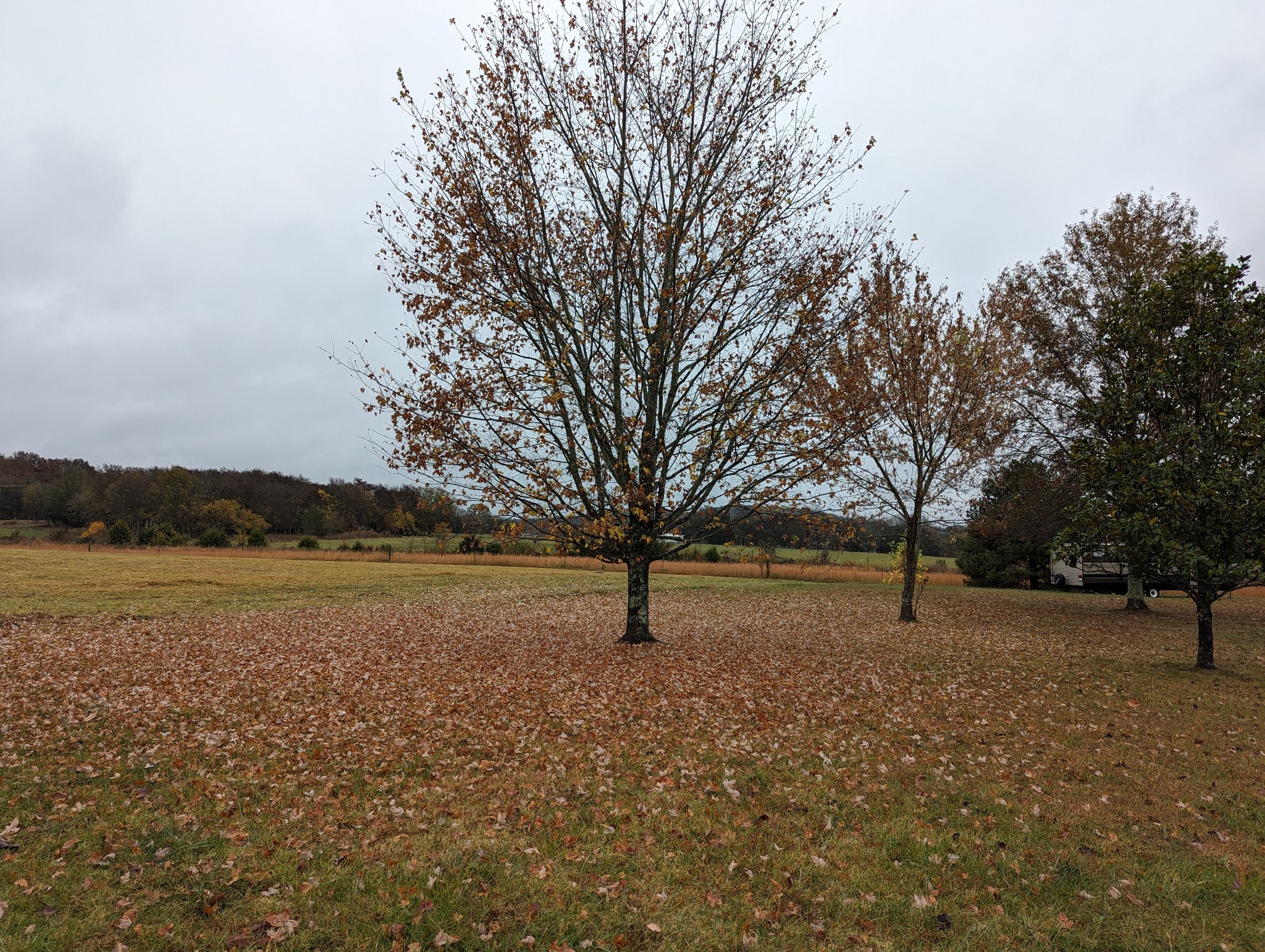 14620 Cainsville Road Lebanon TN 37090