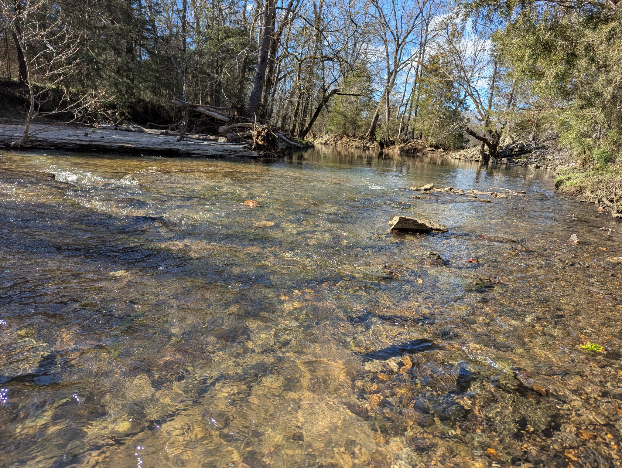 14620 Cainsville Road Lebanon TN 37090