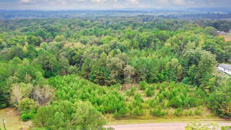 0 Enville Road Henderson TN 38340