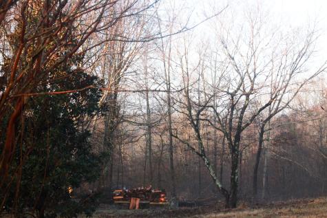 208 Tomsic Road Indian Mound TN 37079