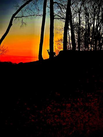 1555 Heller Ridge Spring Hill TN 37174