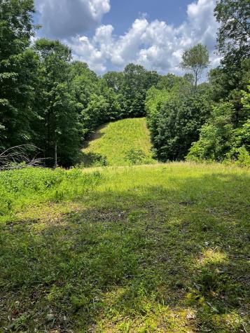 25 W Adkins Lane Lawrenceburg TN 38464