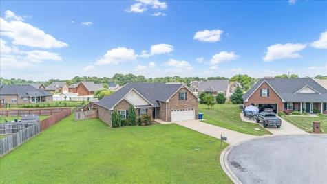 2905 Daytona Court Christiana TN 37037
