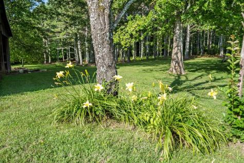 1825 Elkton Pike Pulaski TN 38478