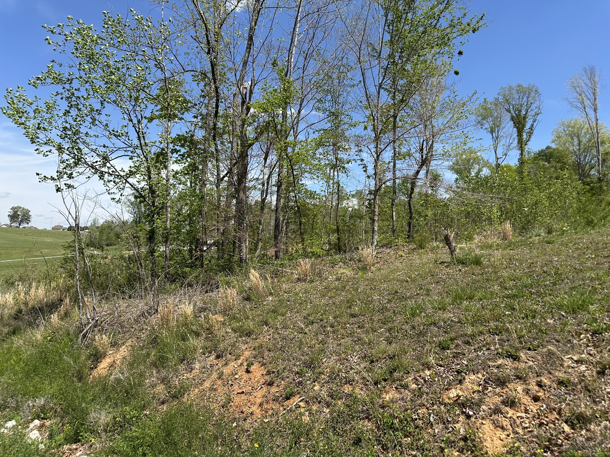 0 Murrell Road Dickson TN 37055