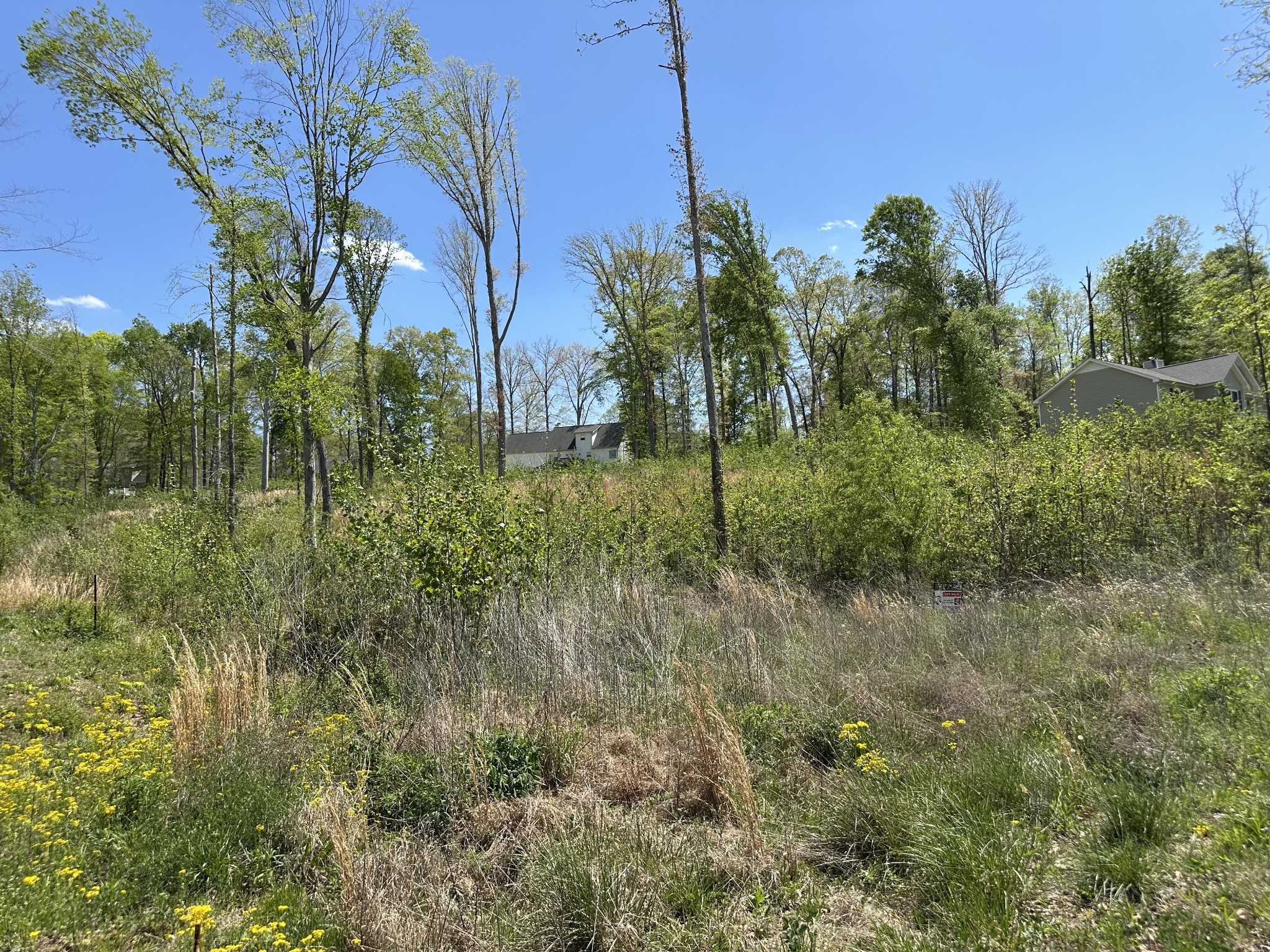 0 Murrell Road Dickson TN 37055
