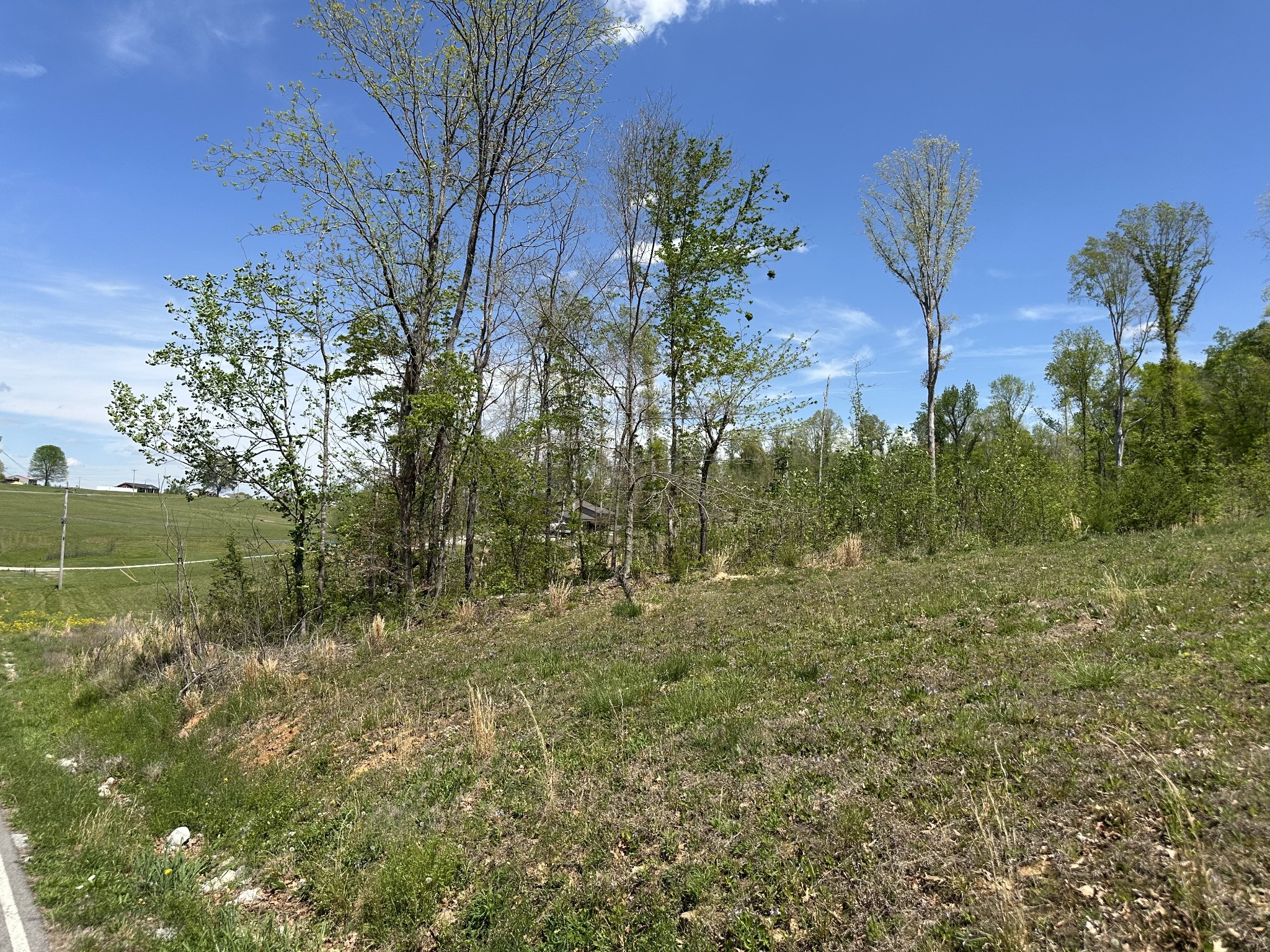 0 Murrell Road Dickson TN 37055