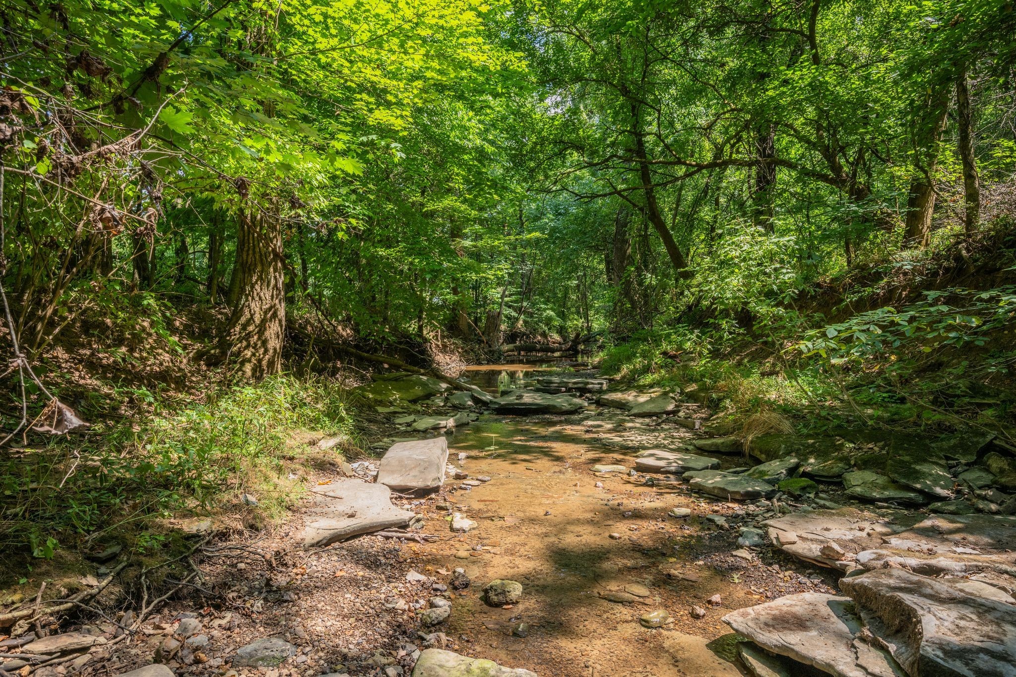 2290 Osburn Road Arrington TN 37014