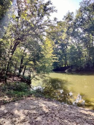 0 Boat Ramp Lane Decaturville TN 38329