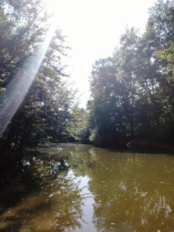 0 Boat Ramp Lane Decaturville TN 38329