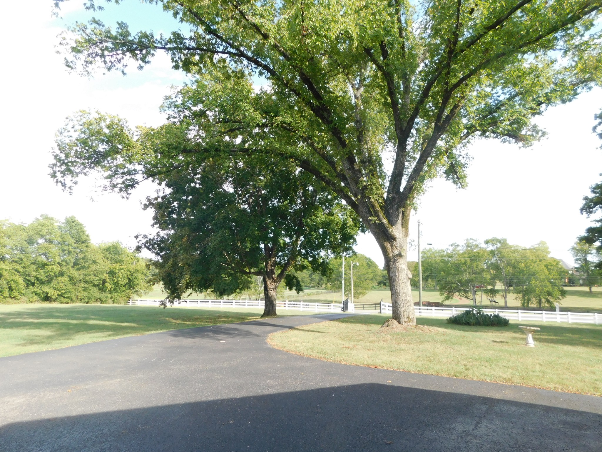 1386 Long Hollow Pike Gallatin TN 37066