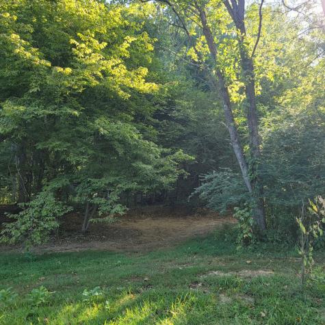 0 Greenfield Estates Drive Culleoka TN 38451