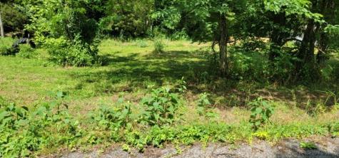 0 Greenfield Estates Drive Culleoka TN 38451