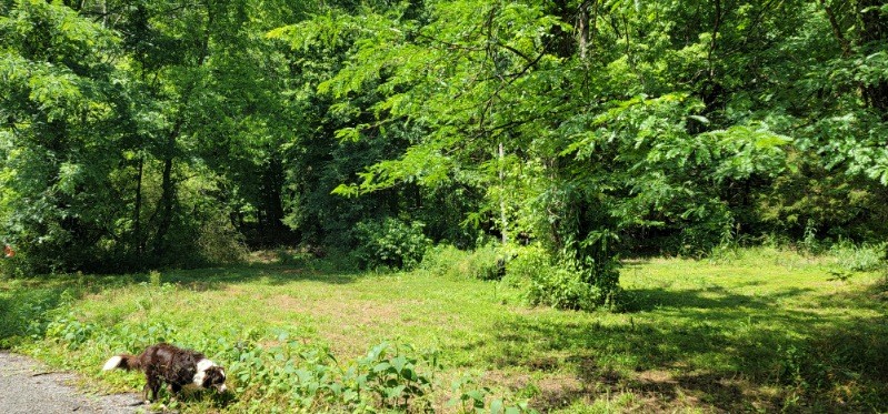 0 Greenfield Estates Drive Culleoka TN 38451