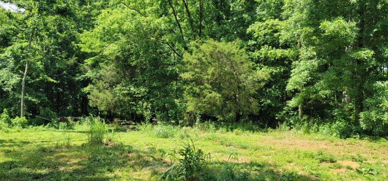 0 Greenfield Estates Drive Culleoka TN 38451