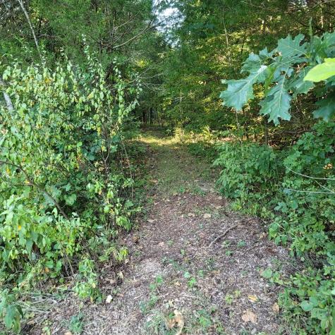 0 Greenfield Estates Drive Culleoka TN 38451